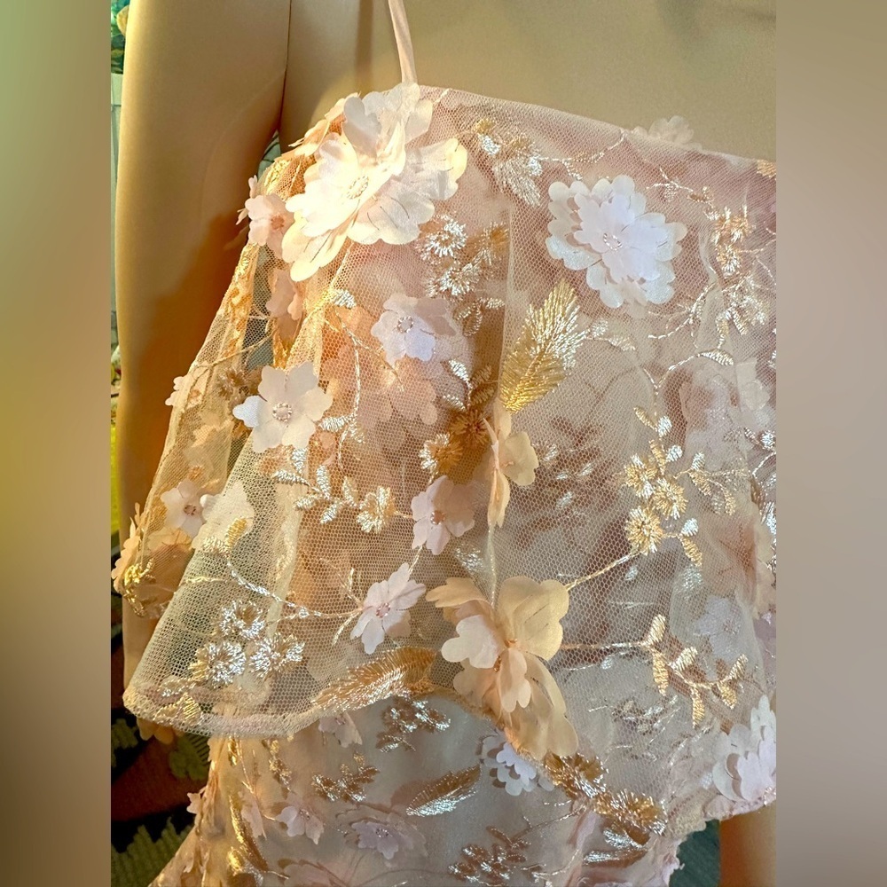 ASOS light pink/nude dainty flower cut out sheer dress sz 4 - NWT - Picture 10 of 16